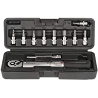 Mighty - Llave dinamométrica de 2-24 Nm con brocas hexagonales y caja de plástico